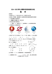 2024～2025学年河南省三门峡市九年级(上)期中阶段性检测数学试卷(含答案)