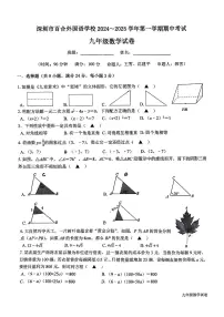 广东省深圳市龙岗区百合外国语学校2024-2025学年九年级上学期期中考试数学试卷
