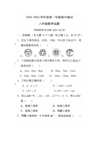 黑龙江省绥化市海伦市第三中学第十中学联考2024-2025学年八年级上学期11月期中数学试题