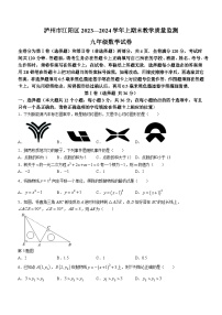 2023-2024学年四川省泸州市江阳区九年级（上）期末数学试卷