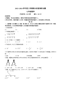 广西壮族自治区百色市2023-2024学年七年级上学期期末数学试题(含答案)
