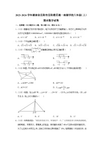 2023-2024学年湖南省岳阳市岳阳楼区湘一南湖学校八年级（上）期末数学试卷
