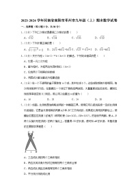2023-2024学年河南省南阳市邓州市九年级（上）期末数学试卷