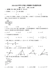 吉林省长春市力旺实验初级中学2024--2025学年七年级上学期期中考试数学试卷(无答案)
