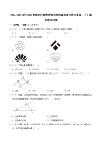 北京市海淀区教师进修学校附属实验学校 2024-2025学年上学期八年级期中数学试卷