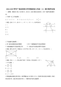 广东省深圳市华附集团校2024-2025学年九年级上学期期中数学试卷