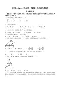 2024～2025学年河南省洛阳市汝阳县九年级(上)期中学科素养检测卷数学试卷(含答案)