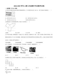 2024～2025学年河南省郑州市协作体七年级(上)期中数学试卷(含答案)