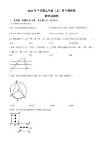 2024～2025学年浙江省金华市东阳市九年级(上)期中调研数学试卷(含答案)