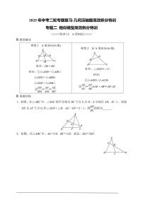 2025年中考数学二轮专题复习～专题二相似模型高效拆分特训(含解析)