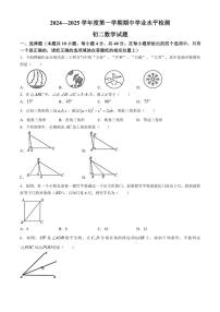 山东省淄博市高新区2024～2025学年七年级(上)期中数学试卷(含答案)