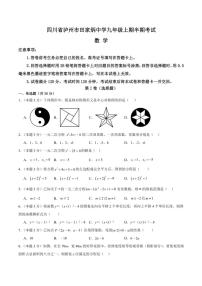 四川省泸州市田家炳中学2024～2025学年九年级(上)期中数学试卷(含答案)