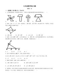 山东省泰安市岱岳区2024～2025学年七年级(上)期中数学试卷(含答案)