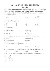 河南省鹤壁市2024～2025学年九年级(上)期中数学试卷(含答案)
