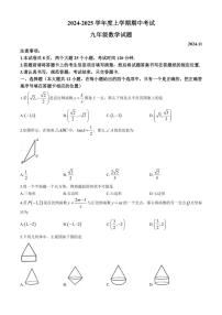 山东省泰安市肥城市2024～2025学年九年级(上)期中数学试卷(含答案)