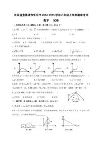 江西省景德镇市乐平市2024～2025学年八年级(上)期中数学试卷(含答案)