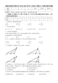 湖南省邵阳市邵东市2024～2025学年八年级(上)期中数学试卷(含答案)