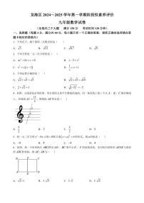 福建省漳州市龙海区2024～2025学年九年级(上)期中测评数学试卷(含答案)