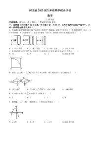 河北省廊坊市2024～2025学年九年级(上)期中数学试卷(含答案)