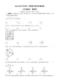 河北省沧州市南皮县桂和中学2024～2025学年九年级(上)期中数学试卷(含答案)