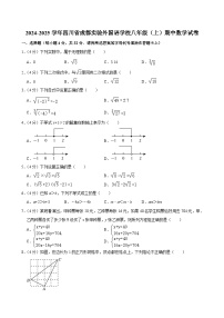 四川省成都市实验外国语学校 2024-2025学年八年级上学期期中数学试卷