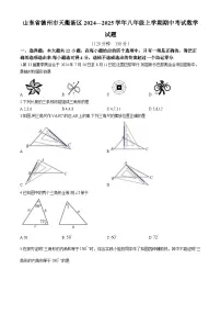 山东省德州市天衢新区2024—2025学年八年级上学期期中考试数学试题(无答案)