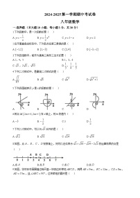 广东省河源市龙川县实验中学2024—2025学年上学期第一次月考八年级数学试卷