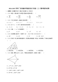 广东省惠州市惠东县2024-2025学年八年级上学期期中数学试卷