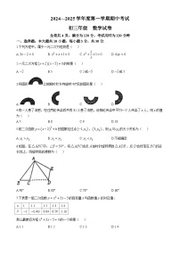 广东省珠海市金湾区2024—2025学年九年级上学期期中考试数学试卷(无答案)