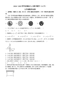 河南省洛阳市老城区2024-2025学年九年级上学期11月期中考试数学试卷