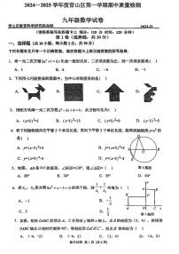 湖北武汉青山区2024-2025学年九年级上学期11月期中考试数学试题（含答案）