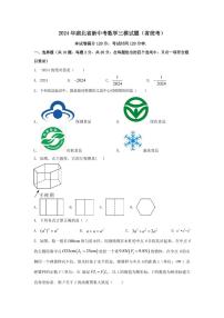 2024年湖北省新中考数学三模试题（省统考（原卷版+解析版）