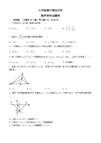 安徽省合肥市第四十二中学长江路校区2024-2025学年八年级上数学期中绿色评价试题卷(无答案)