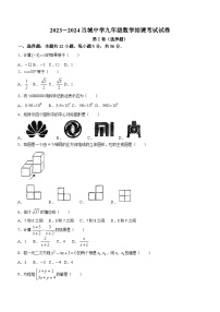 天津市西青区当城中学2023-2024学年九年级下学期月考数学试题(无答案)