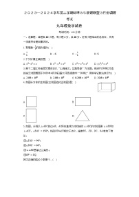 2024年安徽省蚌埠市蚌山区中考一模数学试题