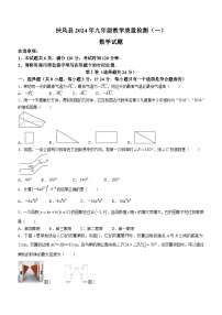 2024年陕西省宝鸡市扶风县中考一模数学试题(含答案)