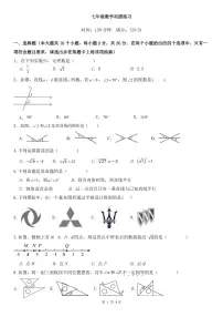湖南省长沙市2023-2024学年七年级下学期第一次月考数学试卷