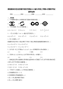 新疆维吾尔自治区喀什地区巴楚县2025届九年级上学期10月期中考试数学试卷(含答案)