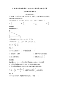 2024-2025学年山东省济南市莱芜区九年级(上)期中数学试卷(解析版)