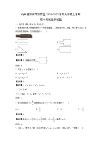 2024-2025学年山东省济南市济阳区九年级(上)期中数学试卷(解析版)