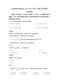 2024-2025学年山东省泰安市泰山区八年级(上)期中数学试卷(解析版)