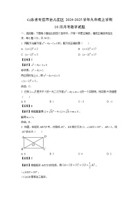 2024-2025学年山东省枣庄市台儿庄区九年级(上)10月月考数学试卷(解析版)