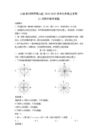 2024-2025学年山东省日照市岚山区九年级(上)11月期中数学试卷(解析版)