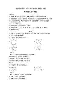 2024-2025学年山东省德州市九年级(上)期中模拟数学试卷(解析版)