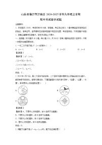 2024-2025学年山东省临沂市沂南县九年级(上)期中数学试卷(解析版)