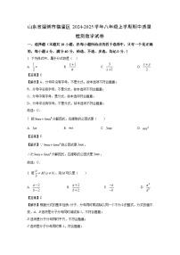 2024-2025学年山东省淄博市临淄区八年级(上)期中质量检测数学试卷(解析版)