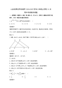 2024-2025学年山东省潍坊市诸城市八年级(上)11月期中数学试卷(解析版)