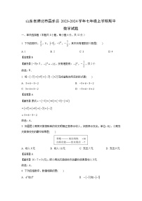 2023-2024学年山东省潍坊市昌乐县七年级(上)期中数学试卷(解析版)