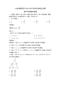 2024-2025学年山东省潍坊市九年级(上)期中数学试卷(解析版)