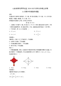 2024-2025学年山东省青岛市市北区九年级(上)11月期中数学试卷(解析版)